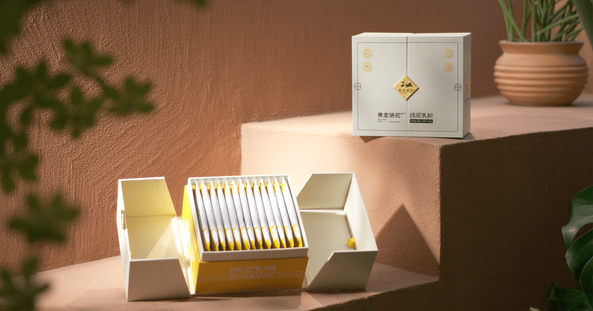 定位小众高端乳粉，尊龙凯时人生就搏推出驼奶品牌“黄金骆驼+”，角逐乳品新市场！